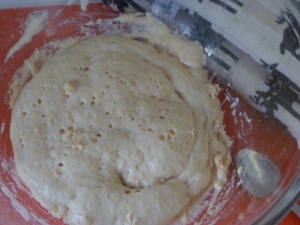 Bun dough starter after 30 mins
