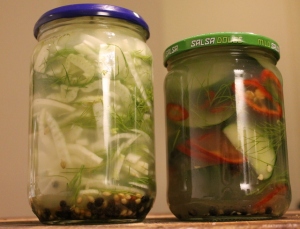 Lacto fermented fennel and cucumber